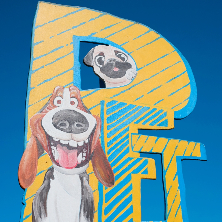 TARTYPET Un vero tocco di magia