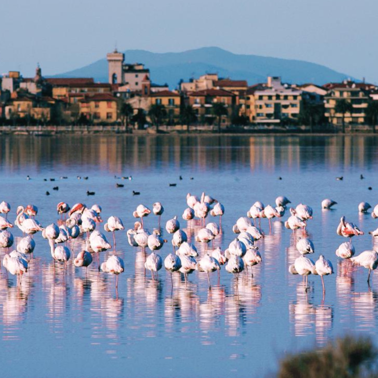 L'Oasi WWF di Burano